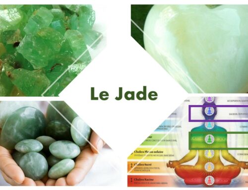 Le Jade dans tous ses états